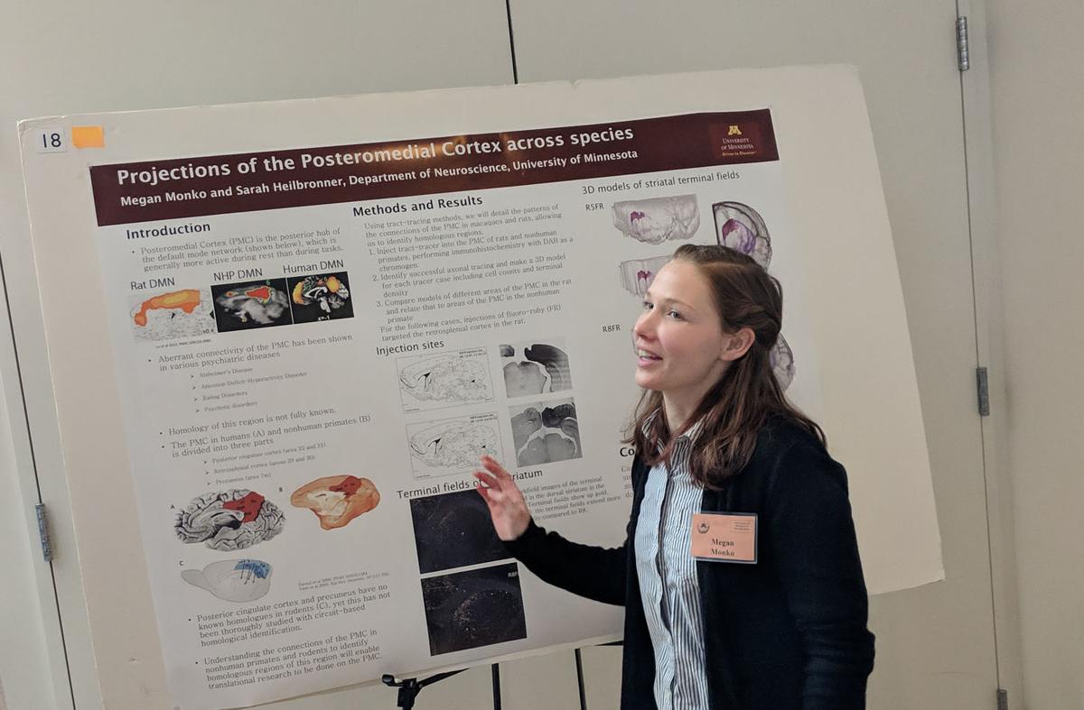 Megan Monko presents her poster Projections of the Posteromedial Cortex across species at the GPN retreat (Feb 2019).